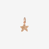 Rose Gold & Brown Diamond Star Charm