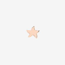  Rose Gold Mini Star Earring