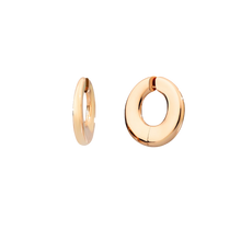  Iconica Earrings