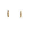 Yellow Gold & Diamonds Earrings