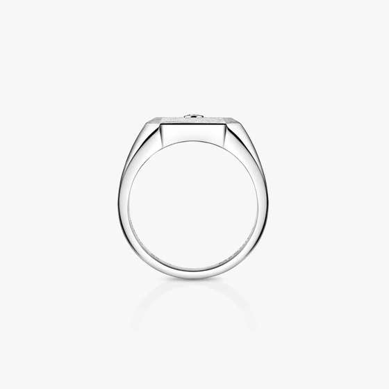 Move Titanium Natural Signet Ring Natural Titanium Diamond Ring