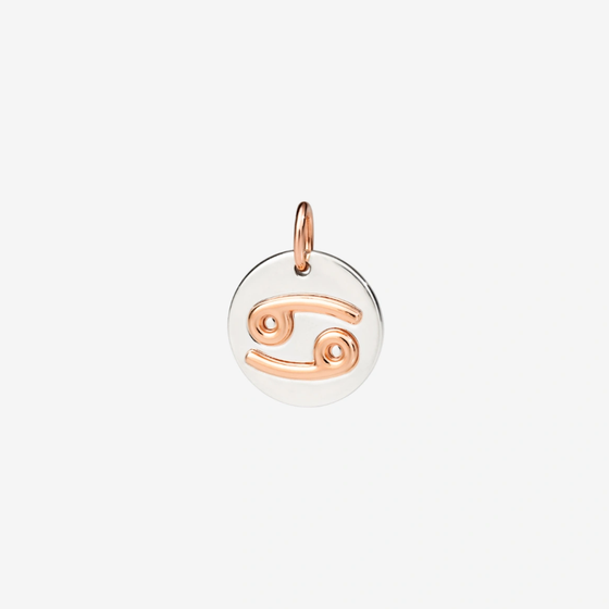 Silver & Rose Gold Cancer Charm