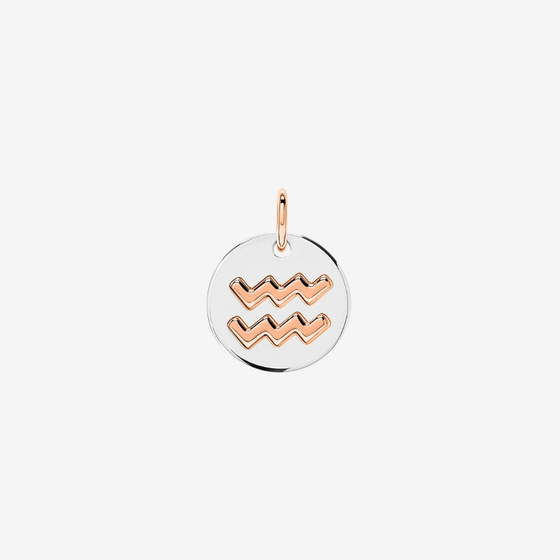 Silver & Rose Gold Aquarius Charm