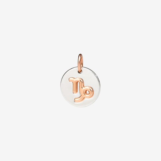 Silver & Rose Gold Capricorn Charm