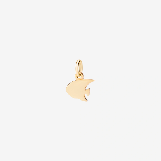 Angelfish Charm