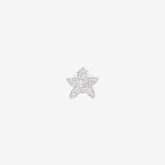 White Gold & Diamond Star Earring