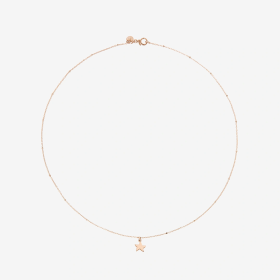 Rose Gold Mini Star Necklace