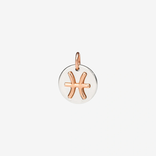  Silver & Rose Gold Pisces Charm