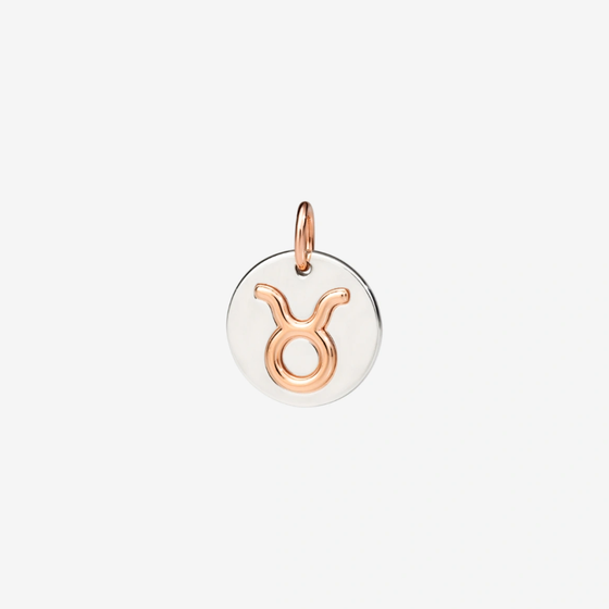 Silver & Rose Gold Taurus Charm